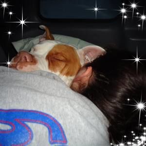 Meet your Posher, Barb